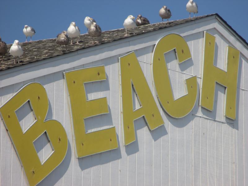 ReBeL_ReBeL_03_Beach-Hut