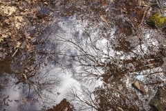 Colin Harrison, Up or Down