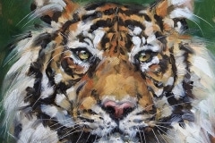 Kyle Hicks Healy, Portrait of a Tiger