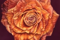 Heather Jones, Burnt Orange Rose
