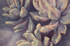 Meredith Mulhearn, Succulents