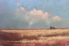 Aurelio Saiz, Field of Grain