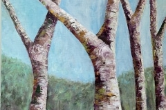 Joanna Soulios, Family of Birches