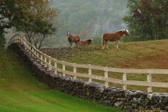 James Stasiak, Three Horses, Sunday