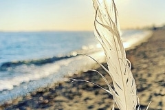 Wendy Trainer Kerr, Light as a Feather
