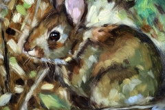 Kyle Hicks Healy, Portrait of a Bunny