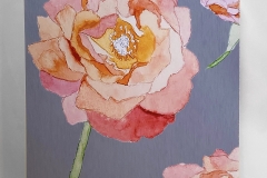 Jessica Hollander, Peach-Rose-Mounted-Print