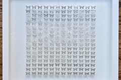 Heather Jones, Butterflies