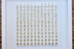 Heather Jones, Suns