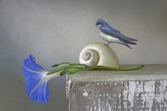 Judith Secco, Serendipity