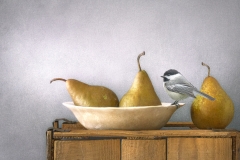Judith Secco, Pears-with-Chickadee