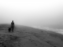 Into The Mist
