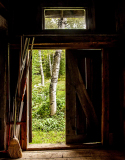 Harrison_Colin_1_Freemans_Barn