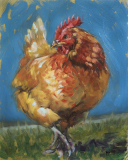 Daffodil: Portrait of a Hen