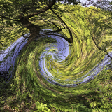 Wild Wind