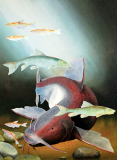 Red Cat Fish