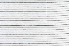 Cynthia Cooper, Untitled Prime (Rise) Cynthia Cooper, Untitled Prime (Rise)