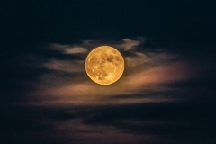 Laney Lloyd, Beaver Moon