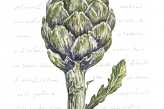 Beth Boyland, Sicilian Artichoke