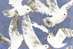 Ruth Chapman, Swoop