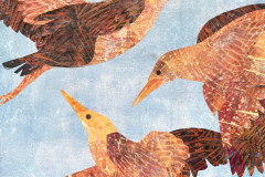 Ruth Chapman, In Flight