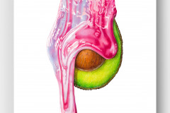 Gabriella Anouk, Avocado Dali