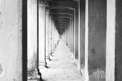 Sarah Wrede, Vanishing