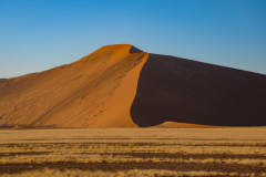 Dune by Joyce Andersen