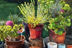 Flowerpots by Alexandra Bricchetto