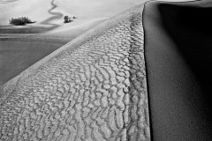 Mesquite Dunes, Death Valley by Dennis Dilmaghani