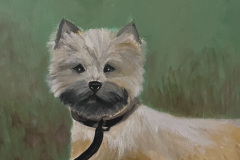 Cody the Cairn by Susan Kurnit