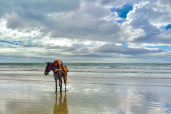 Breakstone Nancy Beach Break Love