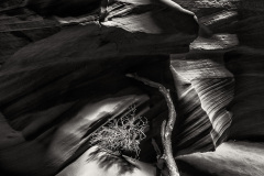 Gordon Jon, Slot Canyon Tumbleweed