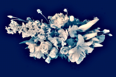 Joanie Landau, Bouquet