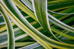 Quiet-Complexity by Karen Kallins
