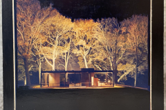 The Glass House by Jeanne McDonagh