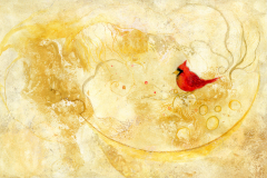 Red Cardinal by Cinzia Meneghello