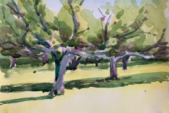 Irwin-Park-Apple-Trees Autumn by Kathie Milligan