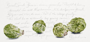 Beth Boyland, BrusselSprouts-1