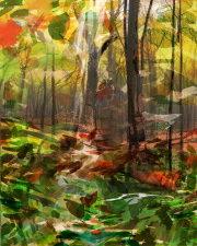 Diana Gubbay, A-Walk-in-the-Woods