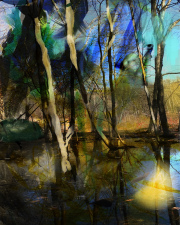 Diana Gubbay, The-Light-of-the-Leprechaun