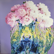 Mackay_Martie, PeonyMooLavender