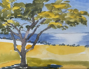 Nita Mulani, SherwoodIsland