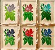 Barbara Ruggieri, Bold Orchid in my Window