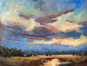 Aurelio Saiz. MiddleMarsh