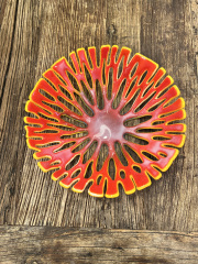 Jack Ziolkowski_Jack, CoralBowlNumberOne