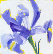 Robin Koffler, Iris