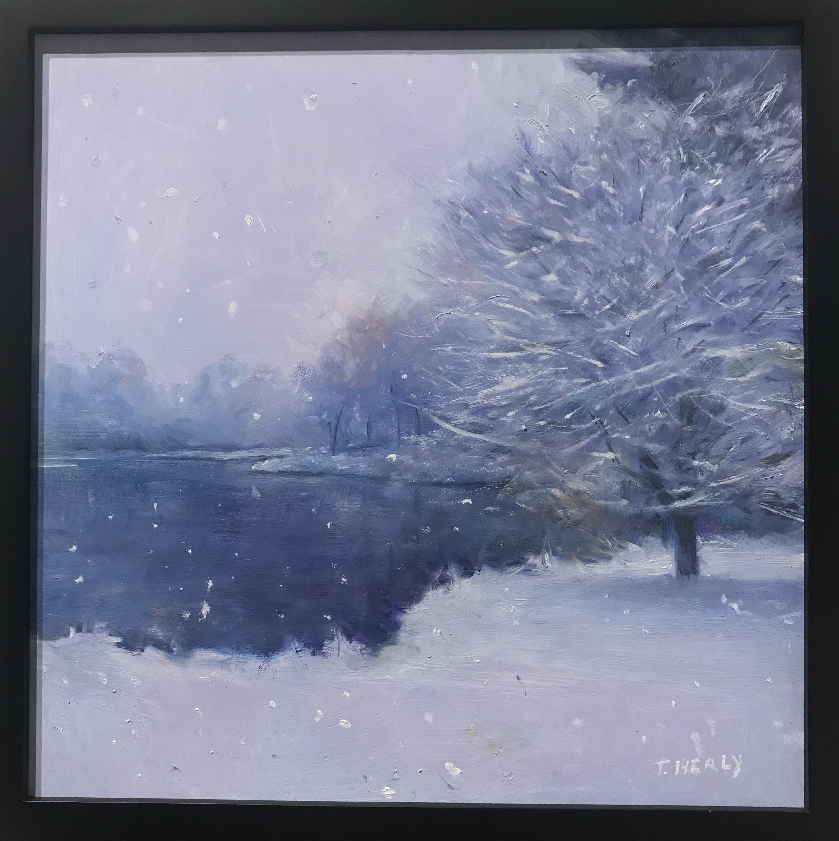 Thomas Healy, Mead Park in Snow