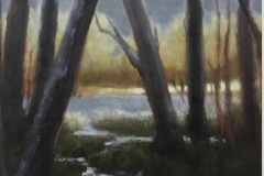 Elizabeth H Agresta, Fleeting Light