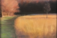 Thomas Healy, Waveny Gold